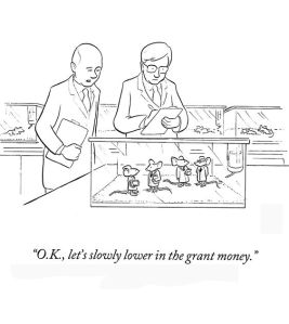 18027bfa9b0483b0860466e01f10c7d2